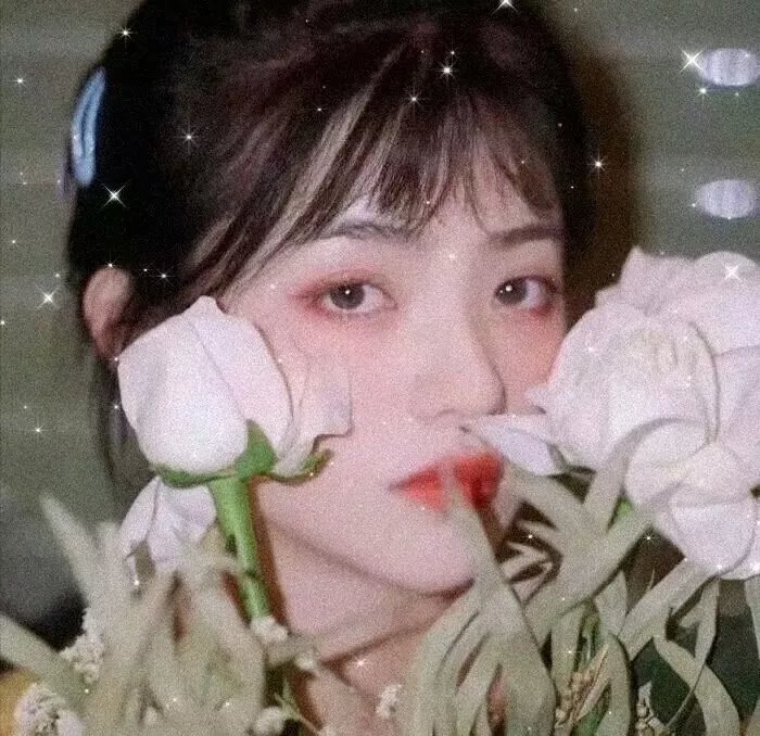 冒牌总统
